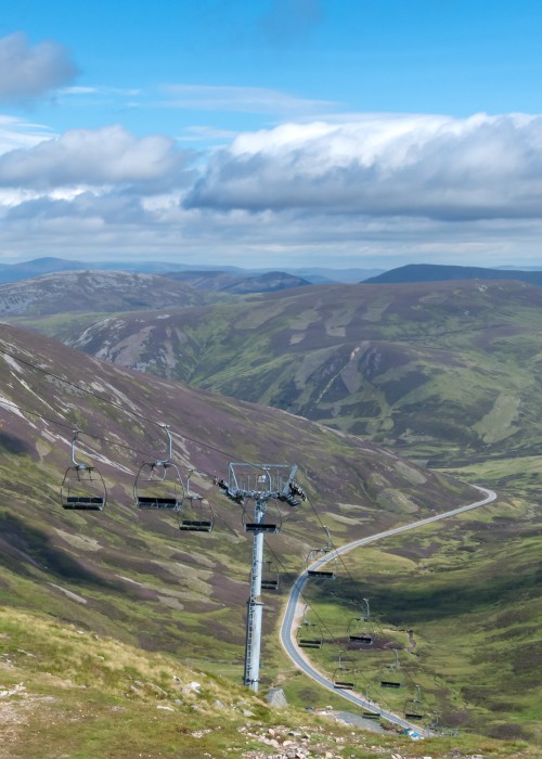 munro bagging adobe stock