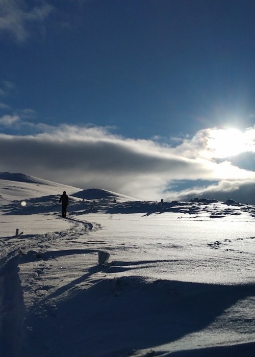 ski touring